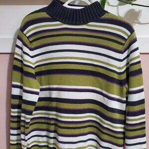 Northern Reflections Striped Turtleneck Pullover